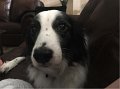 MavAndGrace-HangingOut-2016 (8)